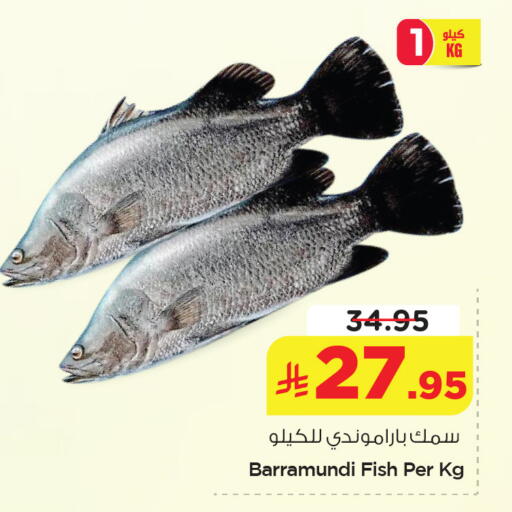 available at نستو in مملكة العربية السعودية, السعودية, سعودية - الخبر‎