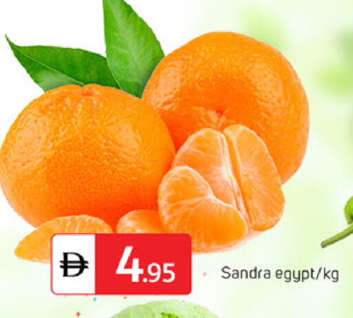 from Egypt available at TALAL MARKET in UAE - Dubai