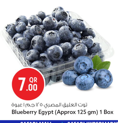 Blueberry BlueBerry from Egypt available at سفاري هايبر ماركت in قطر - الشمال