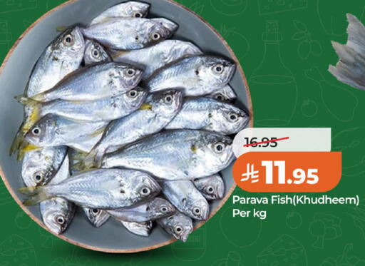 available at لولو هايبرماركت in مملكة العربية السعودية, السعودية, سعودية - الخبر‎