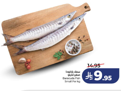 available at لولو هايبرماركت in مملكة العربية السعودية, السعودية, سعودية - تبوك