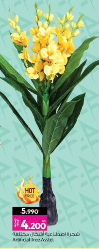 available at أنصار جاليري in البحرين