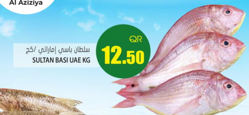 available at Grand Hypermarket in Qatar - Doha
