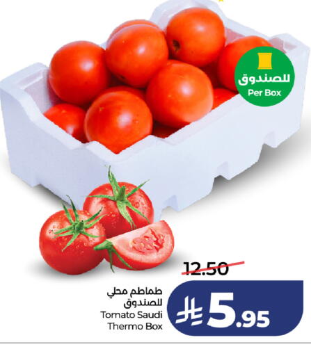 Tomato from Saudi Arabia available at لولو هايبرماركت in مملكة العربية السعودية, السعودية, سعودية - جدة