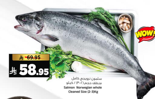 available at المدينة هايبرماركت in مملكة العربية السعودية, السعودية, سعودية - الرياض