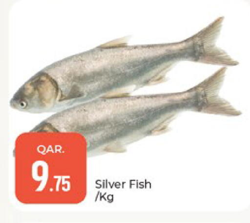 available at Paris Hypermarket in Qatar - Al-Shahaniya