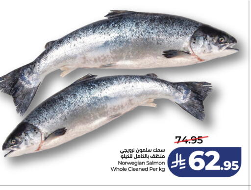 available at لولو هايبرماركت in مملكة العربية السعودية, السعودية, سعودية - تبوك