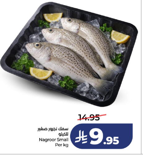 available at لولو هايبرماركت in مملكة العربية السعودية, السعودية, سعودية - تبوك