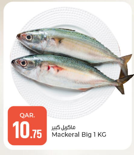 available at Paris Hypermarket in Qatar - Doha