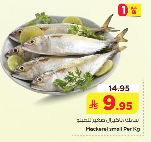 available at نستو in مملكة العربية السعودية, السعودية, سعودية - الخبر‎