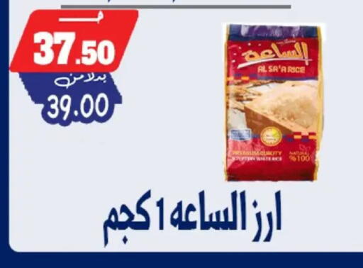 available at Bondok Market  in Egypt - Cairo