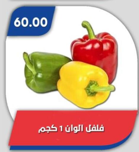 available at Bassem Market in Egypt - Cairo