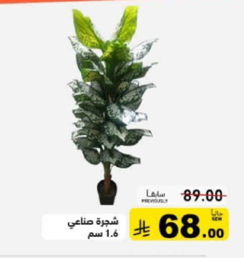 available at أسواق رامز in مملكة العربية السعودية, السعودية, سعودية - حفر الباطن
