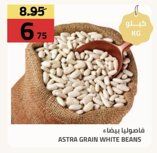 available at أسواق أسترا in مملكة العربية السعودية, السعودية, سعودية - تبوك