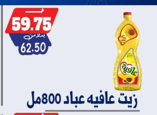 available at بندق ماركت in Egypt - القاهرة