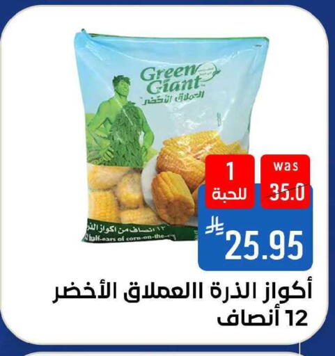available at Shubra AlTaif in KSA, Saudi Arabia, Saudi - Ta'if