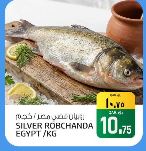 available at Saudia Hypermarket in Qatar - Al Shamal
