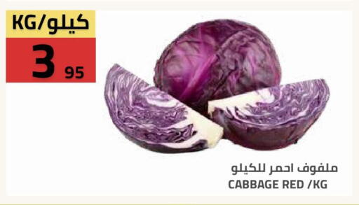Cabbage available at أسواق أسترا in مملكة العربية السعودية, السعودية, سعودية - تبوك