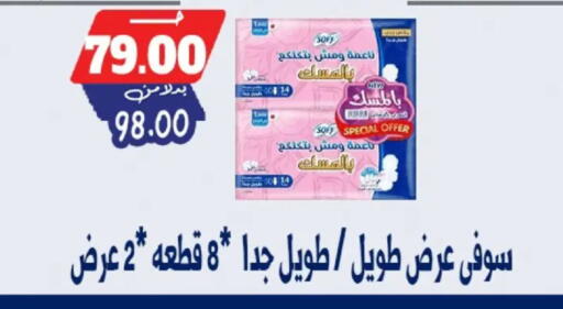 available at Bondok Market  in Egypt - Cairo