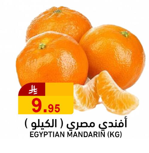 Mandarin from Egypt available at جوول ماركت in مملكة العربية السعودية, السعودية, سعودية - الخبر‎