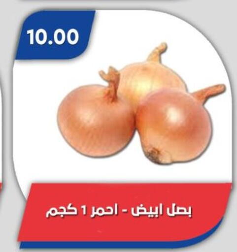 available at Bassem Market in Egypt - Cairo