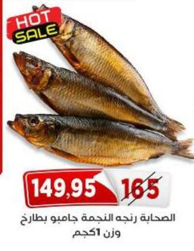 available at اسواق البدر in Egypt - القاهرة
