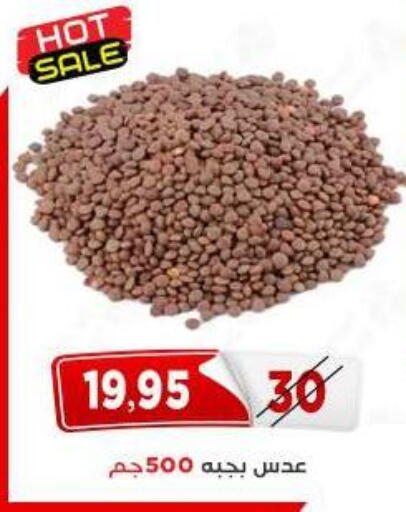 available at اسواق البدر in Egypt - القاهرة