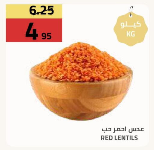 available at أسواق أسترا in مملكة العربية السعودية, السعودية, سعودية - تبوك