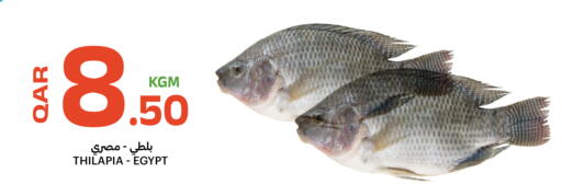 available at Al Baladi Al Yawm in Qatar - Al Khor