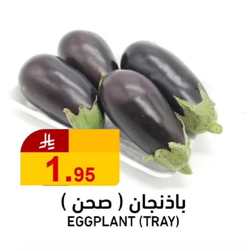 Eggplant available at جوول ماركت in مملكة العربية السعودية, السعودية, سعودية - الخبر‎