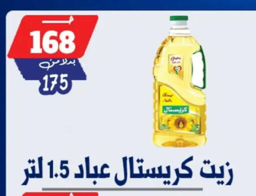 available at بندق ماركت in Egypt - القاهرة
