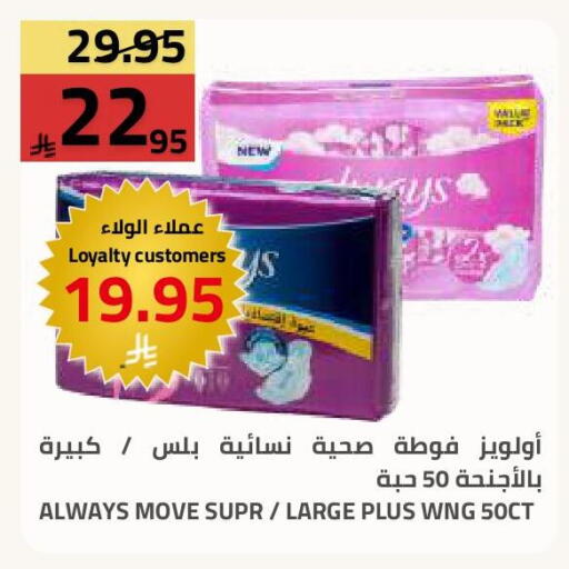 available at أسواق أسترا in مملكة العربية السعودية, السعودية, سعودية - تبوك