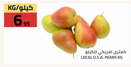 available at أسواق أسترا in مملكة العربية السعودية, السعودية, سعودية - تبوك