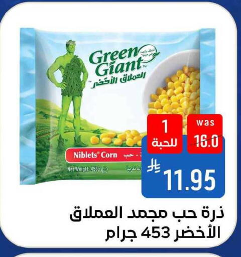 available at Shubra AlTaif in KSA, Saudi Arabia, Saudi - Ta'if