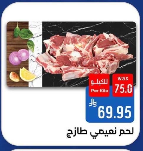 available at Shubra AlTaif in KSA, Saudi Arabia, Saudi - Ta'if