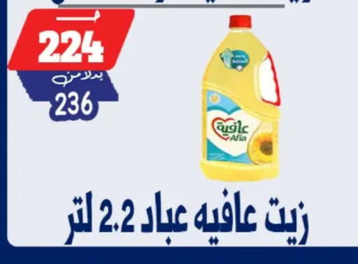 available at بندق ماركت in Egypt - القاهرة