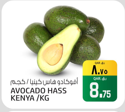 Avocado from Kenya available at السعودية in قطر - الوكرة