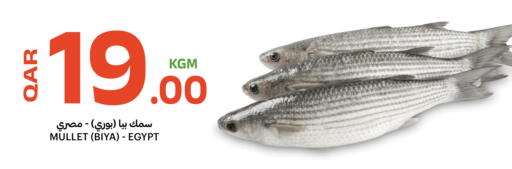 available at Al Baladi Al Yawm in Qatar - Al Khor