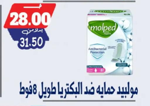 available at Bondok Market  in Egypt - Cairo