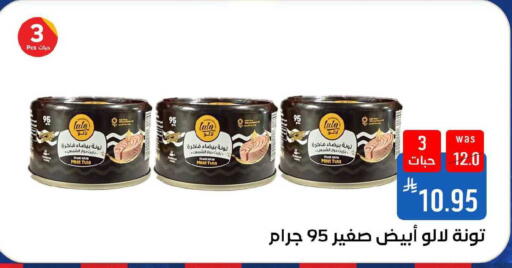 available at شبرا الطائف in مملكة العربية السعودية, السعودية, سعودية - الطائف