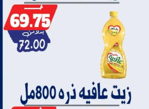 available at بندق ماركت in Egypt - القاهرة