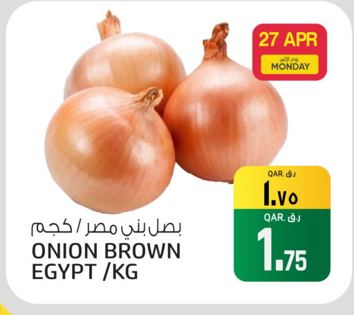 Onion from Egypt available at السعودية in قطر - الوكرة