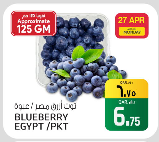 Blueberry BlueBerry from Egypt available at السعودية in قطر - الوكرة