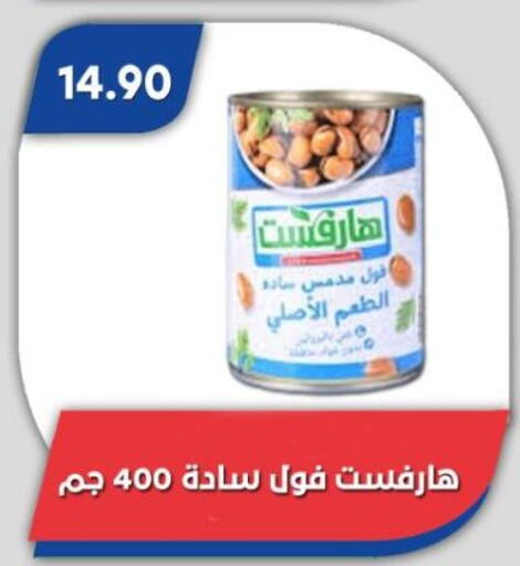 available at Bassem Market in Egypt - Cairo