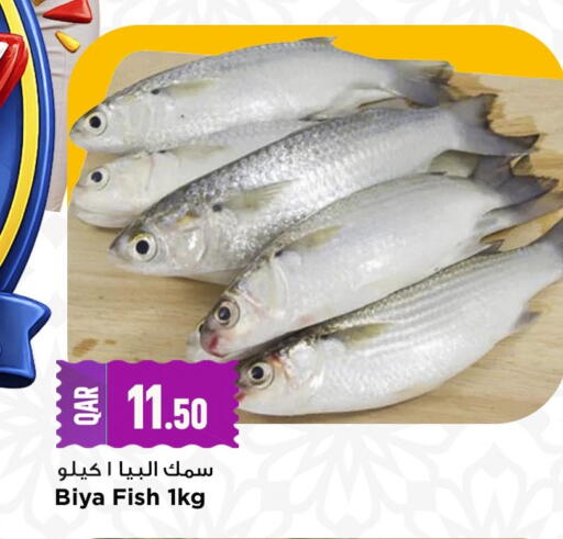 available at Marza Hypermarket in Qatar - Al Wakra