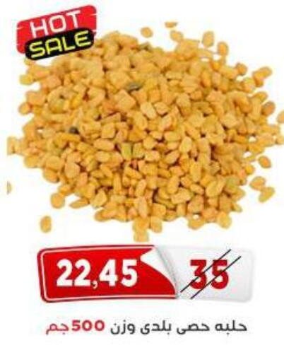 available at اسواق البدر in Egypt - القاهرة