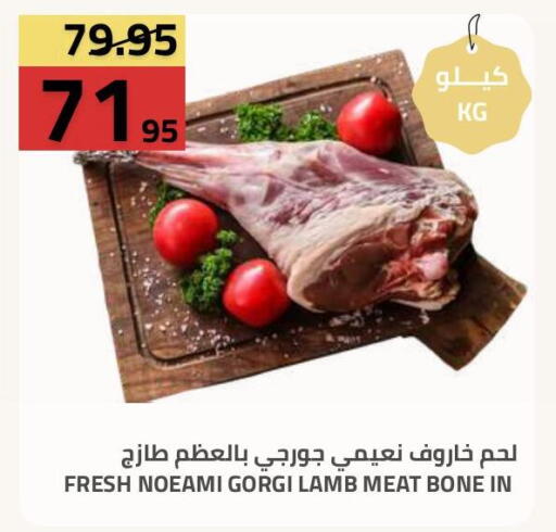 available at أسواق أسترا in مملكة العربية السعودية, السعودية, سعودية - تبوك