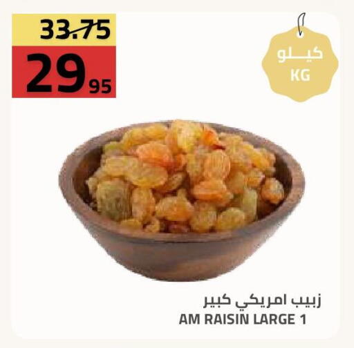 available at أسواق أسترا in مملكة العربية السعودية, السعودية, سعودية - تبوك