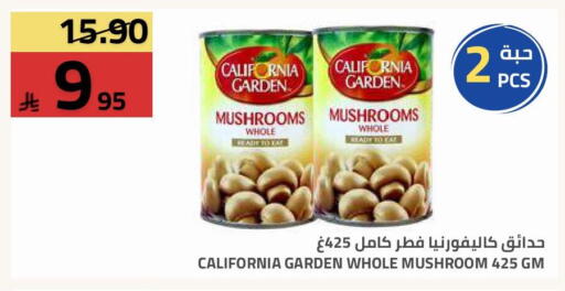 Mushroom available at أسواق أسترا in مملكة العربية السعودية, السعودية, سعودية - تبوك