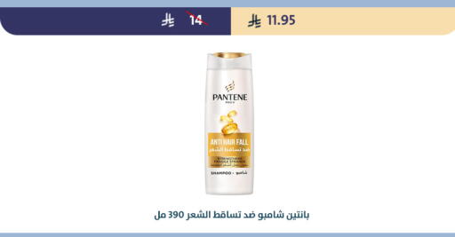 available at متاجر قوت in مملكة العربية السعودية, السعودية, سعودية - الطائف